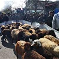 حسینیه اعظم زنجان طرح نذر نیابتی را اجرا می کند