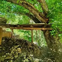 تصاویری از طبیعت زیبای روستای ازغد