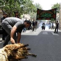 نظارت ۵۴ تیم دامپزشکی خراسان جنوبی بر ذبح دام در دهه اول محرم
