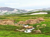 دالانپر بهاری در دل تابستان