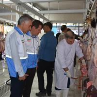 تشدید نظارت دامپزشکی ایلام بر ذبح و عرضه دام در ایام تاسوعا و عاشورا