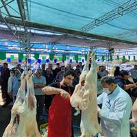 ۱۹ تیم دامپزشکی در البرز فعال شدند
