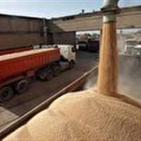 اختصاص ۳ هزارتن گندم خارجی به استان زنجان