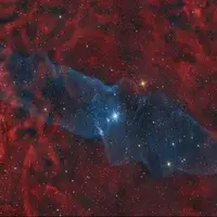 عکس روز ناسا از سحابی ماهی مرکب