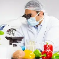 ساخت نانوحسگری که سلامت غذا را در ۱۵ دقیقه آزمایش می‌کند