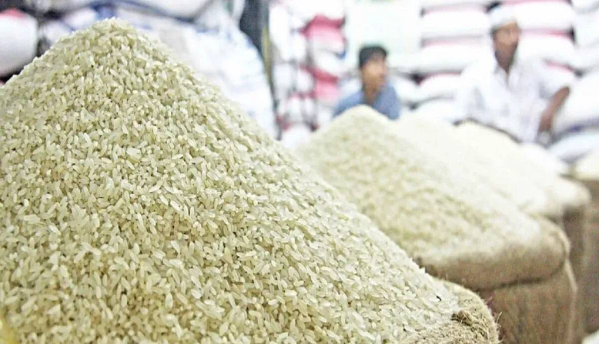 کنترل بازار برنج با شروع برداشت و ثبت سفارش‌های واردات