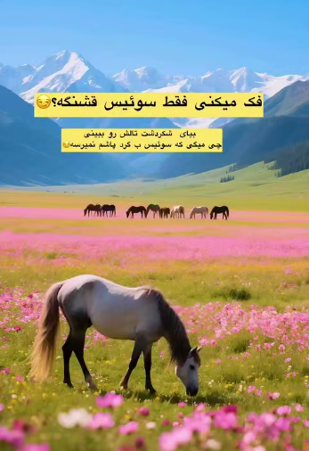 شکردشت، از ییلاق‌های منحصربه‌فرد و بکر شمال ایران