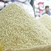 کنترل بازار برنج با شروع برداشت و ثبت سفارش‌های واردات