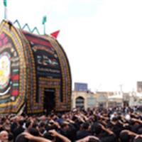 برگزاری آیین سنتی نخل‌برداری عاشورا در استان یزد