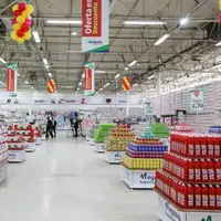 چراغ سبز به واردات چهار قلم کالای اساسی غذایی از فردا