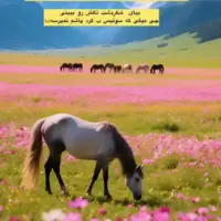 شکردشت، از ییلاق‌های منحصربه‌فرد و بکر شمال ایران