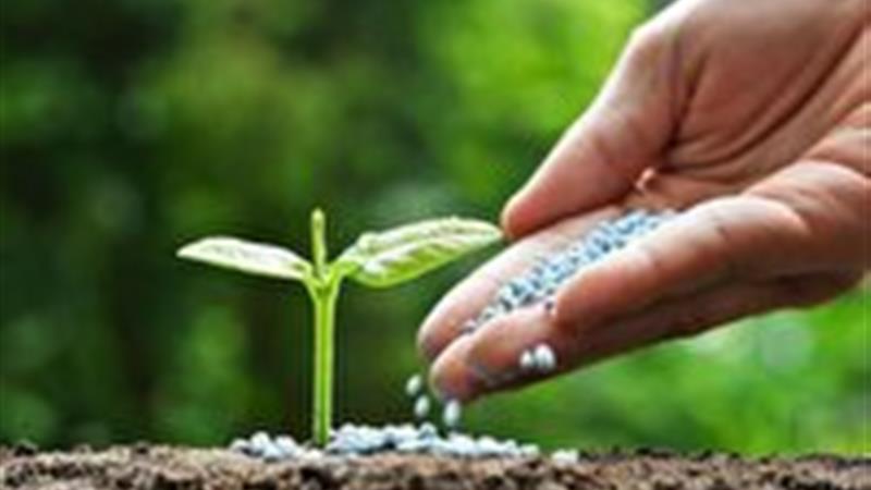 تأمین بیش از ۱۴ هزار تن انواع کود شیمیایی در خراسان شمالی