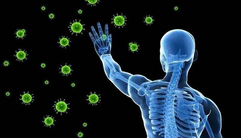 سیستم ایمنی بدن را با مصرف این ویتامینها تقویت کنید
