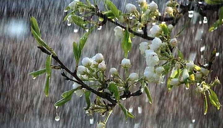 تداوم هوای بهاری در گلستان