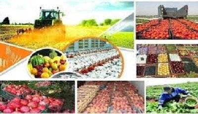 کاهش نرخ تورم در بخش کشاورزی