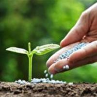 تأمین بیش از ۱۴ هزار تن انواع کود شیمیایی در خراسان شمالی