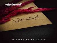 استوری/ زینت دوش نبی