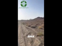 مشاهده هم‌زمان پنج یوزپلنگ آسیایی در پارک ملی توران 