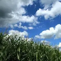آغاز روند کاهش نسبی دما از امروز در خراسان‌رضوی