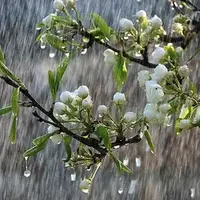تداوم هوای بهاری در گلستان