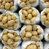 ۶۰ هزار تن سیب‌زمینی تولید سال گذشته در سردخانه‌ها مانده است