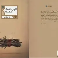 برای سرودن شعر عاشورایی باید مطالعه تاریخی داشت