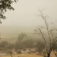 پیش‌بینی هواشناسی بوشهر برای غبار محلی و وزش باد 