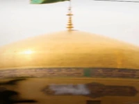 استوری/ دلتنگ آقا امام رضا(ع)