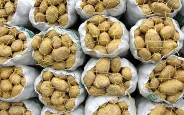 ۶۰ هزار تن سیبزمینی تولید سال گذشته در سردخانهها مانده است