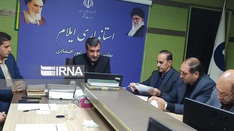 معاون استاندار ایلام خبر داد؛ تمرکز بر اشتغال جوانان و تحول بازار کار