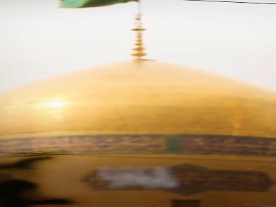 استوری/ دلتنگ آقا امام رضا(ع)