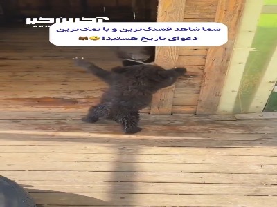 شما شاهد بامزه ترین دعوای تاریخ هستید!