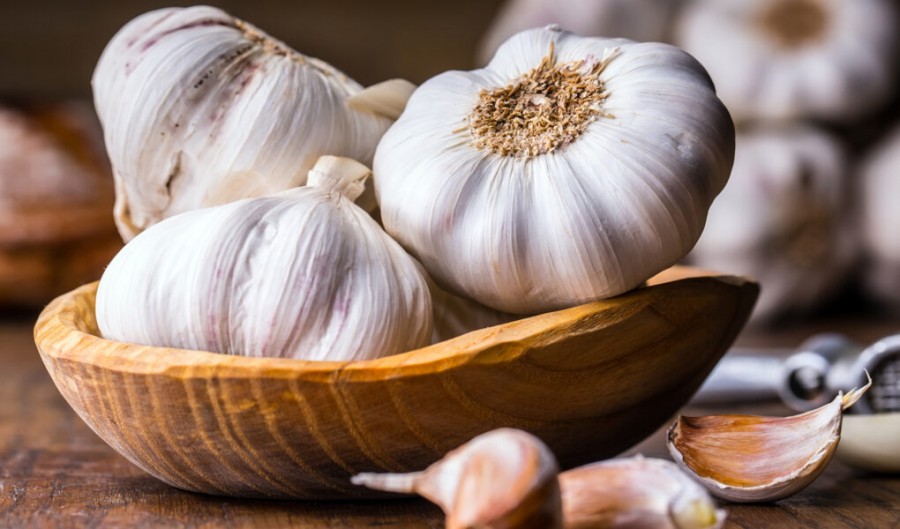 سیر سلطان گیاهان زمین است و برای قلب بسیار مفید است