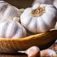 سیر سلطان گیاهان زمین است و برای قلب بسیار مفید است