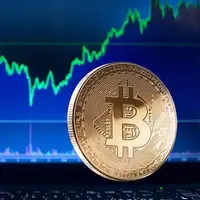 بیت‌کوین در رشد قیمت بی‌رقیب شد
