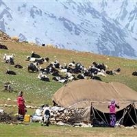 عشایر گرمسار و آرادان، طلایه‌داران تاب‌آوری در مقابل تغییر اقلیم