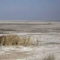 کانون‌های ریزگرد خوزستان دامنگیر همه ایران خواهد شد
