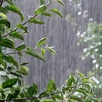 بارندگی‌ها برخی مناطق آذربایجان‌غربی را فرا می‌گیرد