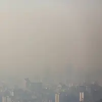 وزش باد و مه رقیق در استان بوشهر