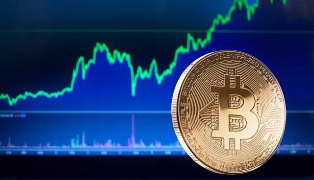 بیت‌کوین در رشد قیمت بی‌رقیب شد