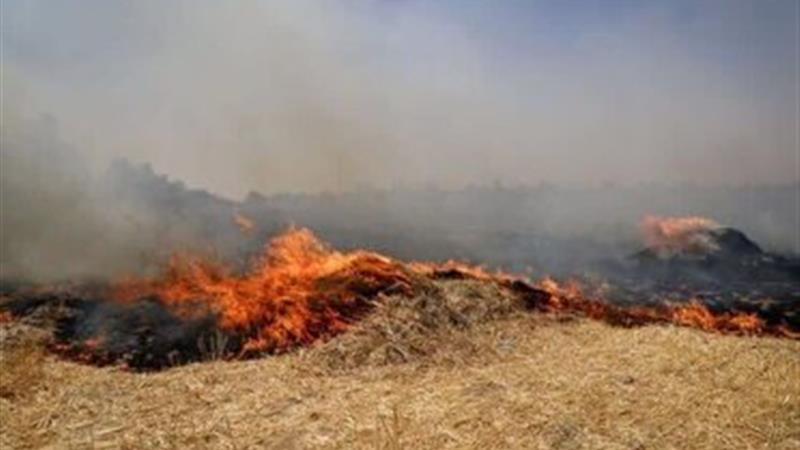 آتش زدن بقایای محصولات در مزارع استان زنجان ممنوع است
