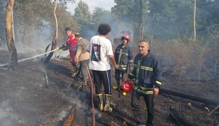 خاکستر شدن 4 هزار متر مربع پوشش گیاهی پارک جنگلی سی‌سنگان