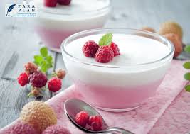 به جای ماست و خیار این ۴ نوع ماست رو امتحان کن