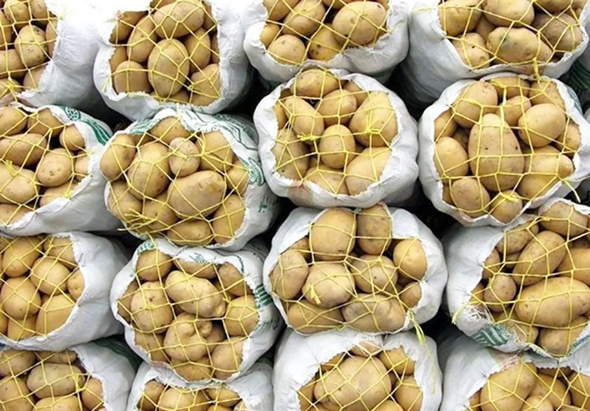 کاهش قیمت سیب‌زمینی و پیاز در بازار