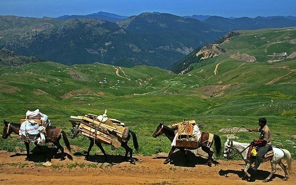 آغاز بهسازی مسیر عشایری پاچکولا در لالی