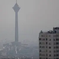 تاثیر تغذیه مناسب در کاهش آسیب‌های ناشی از آلودگی هوا