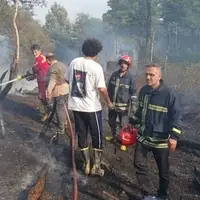 خاکستر شدن ۴ هزار متر مربع پوشش گیاهی پارک جنگلی سی‌سنگان