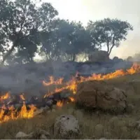 آتش‌سوزی ۱۲ ساعته در منطقه کوه چنار مهارلو