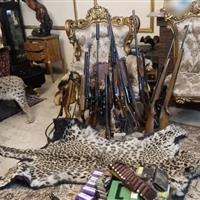 کشف محموله عظیم حیوانات تاکسیدرمی و سلاح‌های شکاری در تهران