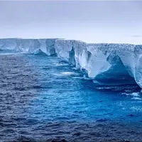 کشف یک متحد جدید برای مبارزه با تغییرات اقلیمی